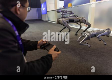 Barcellona, Spagna. 01st Mar, 2023. Uno dei membri della società Unitree controlla uno dei robot quadrupedi. Il Mobile World Congress (2023) di Barcellona organizzato da GSMA è l'evento più grande e più influente per l'ecosistema della connettività mondiale. In questo evento le aziende più importanti del settore presentano le loro nuove tecnologie. Credit: SOPA Images Limited/Alamy Live News Foto Stock