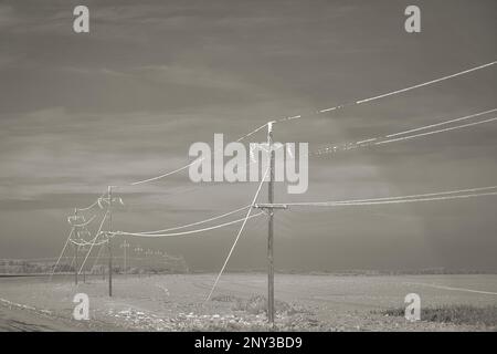 Brina pesante sulle linee elettriche che corrono lungo un'autostrada deserta in curva in un paesaggio invernale di prateria rurale Foto Stock