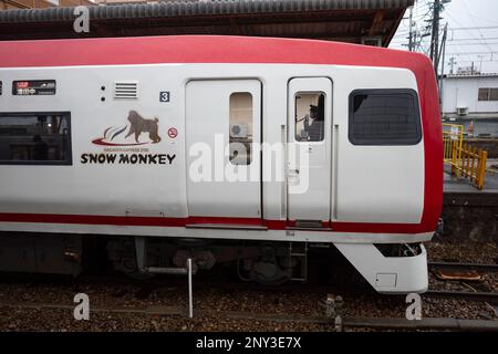 Suzaka, Giappone. 19th Feb, 2023. Un ex carset di treni Hise della serie OdakyÅ« 10000 che operava per la ferrovia elettrica di Nagano (é•·é‡Žé›»é„, Nagano Dentetsu) alla stazione di Suzaka come la scimmia delle nevi esprime nelle Alpi giapponesi. L'auto era servita sulla linea OdakyÅ« Romance Car dalla stazione di Shinjuku al monte Fuji.The Nagano Dentetsu è noto per il funzionamento di treni storici donati dalle compagnie ferroviarie con sede a Tokyo e funziona come una ferrovia rurale che collega la città di Nagano con Suzaka, Nakano e Yudanaka. (Credit Image: © Taidgh Barron/ZUMA Press Wire) SOLO PER USO EDITORIALE! Non per USO commerciale! Foto Stock