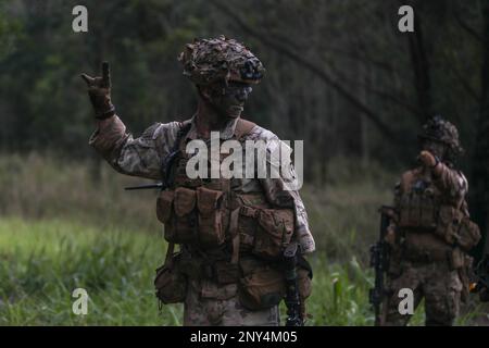 STATI UNITI Soldati dell'esercito assegnati a Charlie Company, 2nd battaglione, 35th reggimento di fanteria, 3rd squadra di combattimento della Brigata di fanteria, 25th divisione di fanteria si segnalano l'un l'altro mentre partecipano ad un'esercitazione di fuoco dal vivo della squadra sulle caserme di Schofield, Hawaii, 23 febbraio 2023. Le squadre hanno dimostrato le loro conoscenze mentre eseguono le attività essenziali di esercitazione durante l'allenamento antincendio dal vivo di giorno e di notte. (STATI UNITI Foto dell'esercito di SPC. Darbi Colson/3rd squadra di combattimento della Brigata della Fanteria) Foto Stock