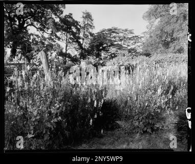 Bremo Recess, Fork Union vic., Fluvanna County, Virginia. Carnegie Survey of the Architecture of the South. Stati Uniti Virginia Fluvanna County Fork Union vic, Gardens. Foto Stock