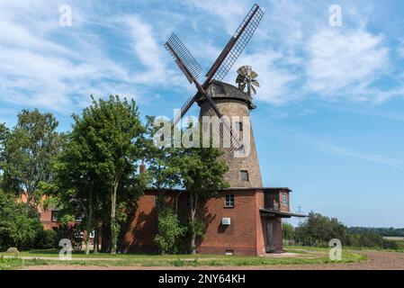 Pottmuehle, mulino a vento, Petershagen, Minden-Lubecke, Westfalian Mill Road, Westfalia orientale-Lippe, Renania settentrionale-Vestfalia, Germania Foto Stock