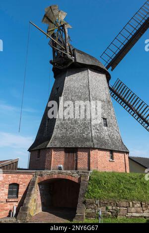 Buesching'sche Muehle, Petershagen, Minden-Luebecke, Westphalian Mill Road, East Westphalia-Lippe, Renania settentrionale-Vestfalia, Germania Foto Stock