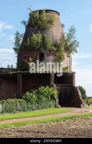 Ex, mulino a vento, Windheim, Petershagen, Minden-Lubecke, Westphalian Mill Road, East Westphalia-Lippe, North Rhine-Westphalia, Germania Foto Stock