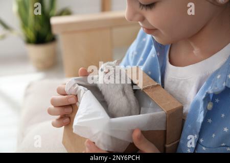 Ragazza piccola felice che tiene la scatola del regalo con il criceto carino nel paese Foto Stock