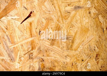 Primo piano su un pannello OSB (OSB), noto anche come flakeboard, sterling board e aspenite. Foto Stock