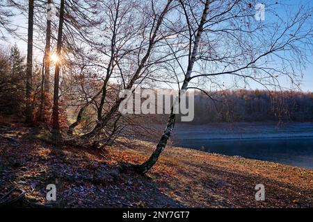 Sorpesee in autunno, Langscheid, Sundern, Sauerland, Renania settentrionale-Vestfalia, Germania Foto Stock