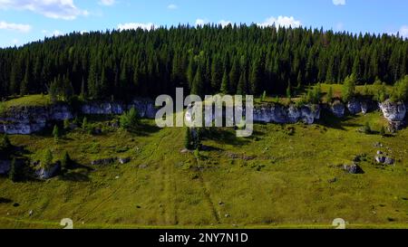 Vista aerea di una scogliera rocciosa e pini. Fermo. Volare sopra prati verdi e formazioni di pietra Foto Stock