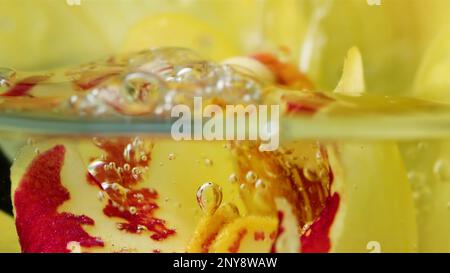 Fiore giallo e viola sotto l'acqua. Stock footage.Fresh fiori in tonalità chiare e su cui appaiono bolle sono stati collocati in profondità. Alta qualità F Foto Stock