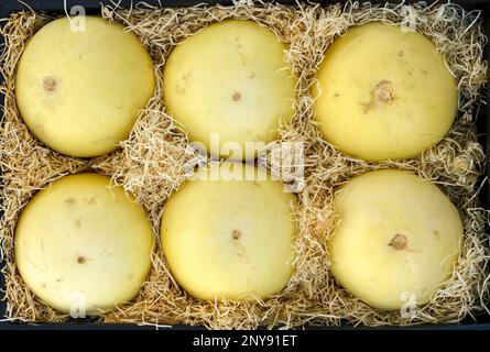 Meloni nel mercato. Fattoria melone raccolta sfondo. Foto di alta qualità Foto Stock