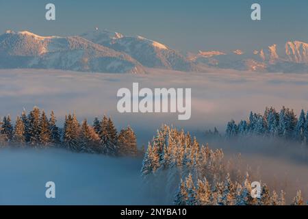 Vista da Blomberg sulle Alpi Bavaresi, Isarwinkel, Baviera, Alpi, Germania, Europa Foto Stock