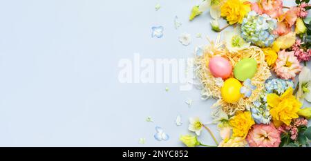 Composizione pasquale con fiori primaverili e uova pasquali nido su sfondo blu pastello. Vista dall'alto, spazio di copia. Banner Foto Stock