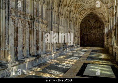 Lo storico chiostro, Gloucester Cathedral, Regno Unito Foto Stock