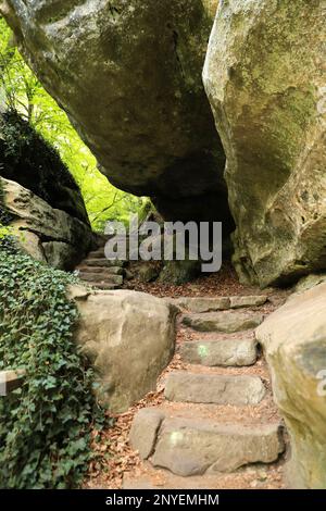 Il labirinto roccioso sul sentiero Mullerthal, Lussemburgo Foto Stock