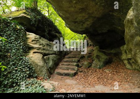 Il labirinto roccioso sul sentiero Mullerthal, Lussemburgo Foto Stock