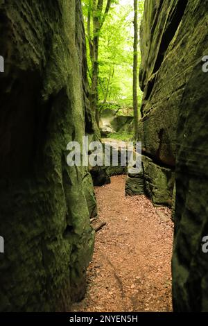 Il labirinto roccioso sul sentiero Mullerthal, Lussemburgo Foto Stock