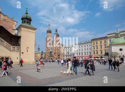 Vista di Rynek Glowny, la piazza principale del mercato con edifici storici, monumenti, sala dei tessuti, basilica e negozi a Cracovia, Polonia. Foto Stock