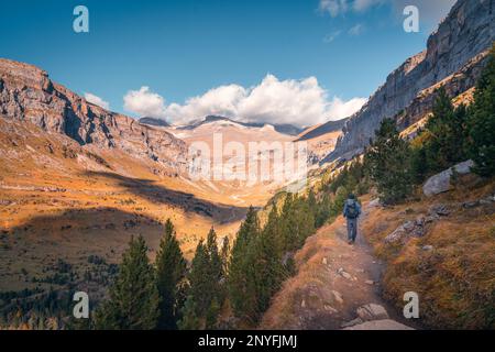 Irriconoscibile escursionista con zaino a piedi sul percorso attraverso la catena montuosa con alberi di conifere verdi nei Pirenei Foto Stock