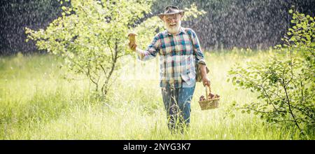 Raccolta di funghi. Buon nonno con funghi in fungo di caccia busket. La ricerca di funghi nel bosco. Senior con fungo in primavera Foto Stock