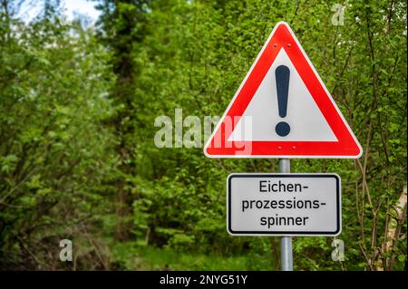 Cartello segnaletico in una zona boschiva di fronte alla falce processionaria e ai suoi effetti sulla salute con la parola tedesca per falce processionaria Foto Stock