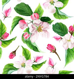 Acquerello senza cuciture con fiori di mela. Isolato su sfondo bianco Foto Stock