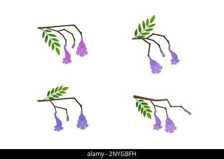 Fiori, boccioli e foglie sui rami set. Illustrazione Vettoriale