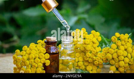 olio essenziale dalla pianta immortelle. fuoco selettivo della natura Foto Stock