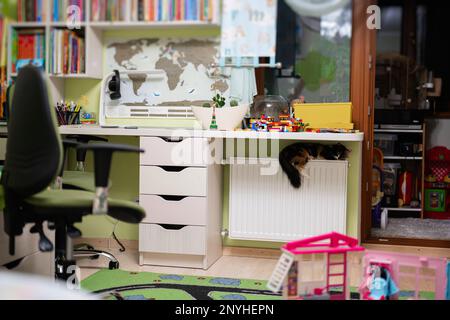 Il gatto si trova su un radiatore di riscaldamento in una giornata fredda nella stanza dei bambini. Foto Stock