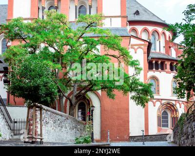 Limburger Dom (Cattedrale di Limburgo) Foto Stock