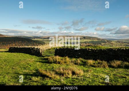 Fortezza romana di Epiacum a Whitley Castle, Castle Nook sulla Maiden Way, Northumberland, vicino ad Alston, Cumbria. Le creste sul campo sono fossati difensivi Foto Stock