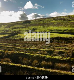 Fortezza romana di Epiacum a Whitley Castle, Castle Nook sulla Maiden Way, Northumberland, vicino ad Alston, Cumbria. Le creste sul campo sono fossati difensivi Foto Stock