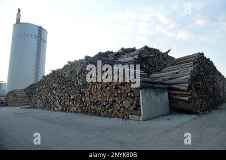 Alta Austria / Austria - in una centrale a biomassa, enormi mucchi di tronchi sono immagazzinati, in attesa di essere bruciati e trasformati in clima dannoso CO2. Foto Stock