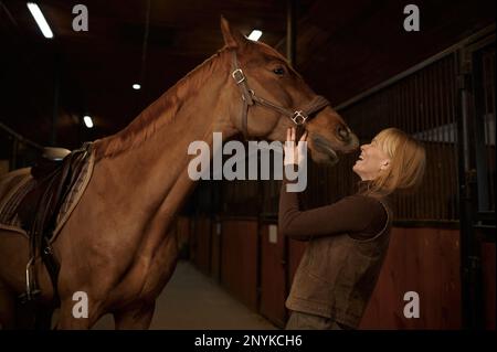 Donna felice ridendo mentre il cavallo la bacia nella stalla del randello di equitazione Foto Stock