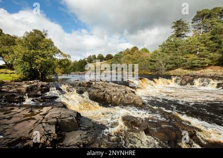 Cascate Low Force vicino a Middleton, nella contea di Teesdale, Durham. La Pennine Way segue la riva sinistra del fiume. Foto Stock