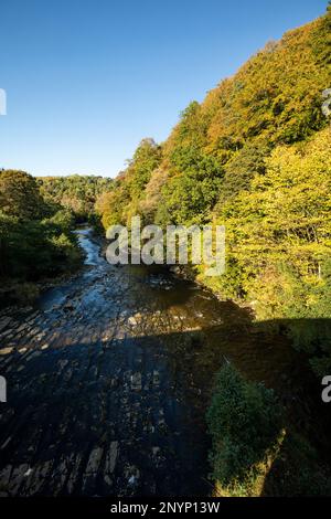 Il fiume Allen visto da Cupola Bridge a Whitfield, Northumberland, in una soleggiata giornata autunnale. Foto Stock