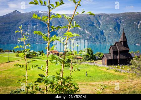 Chiesa di Urnes al fiordo Lustrafjord, ramo del fiordo Sognefjord, in Europa la più antica chiesa della doga, Sogn di Fjordane, Norvegia, l'Europa. Foto Stock