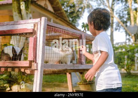 Un bambino che alimenta un coniglio ad uno Zoo, Guwahati, India Foto Stock