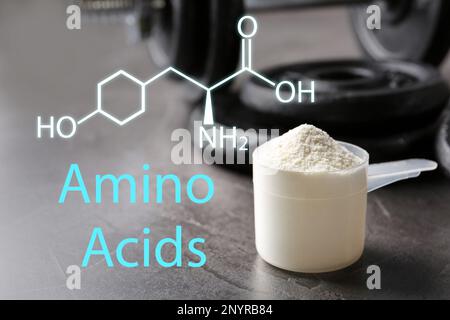 Misurino di polvere di amminoacidi su tabella grigia Foto Stock