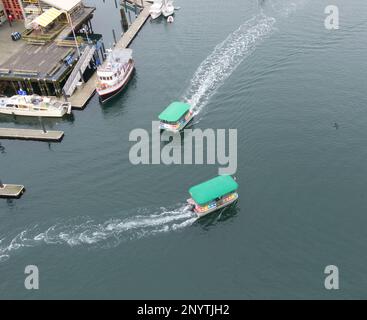 Due traghetti Aquabus, False Creek, Vancouver, British Columbia, Canada. Foto Stock