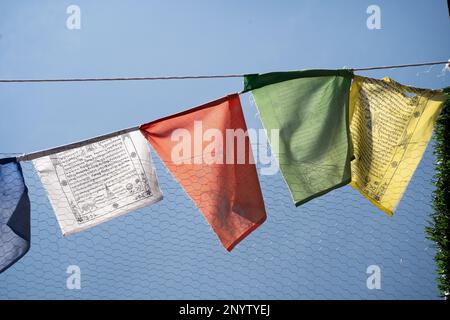 Bandiere di preghiera multicolore sacre sulla recinzione che si muovono nel vento mostrando un incantamento di preghiera bhuddist comune nelle stazioni collinari di Himachal Foto Stock