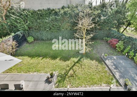un giardino con erba verde e cespugli sullo sfondo, vi è una panca circolare in pietra circondata da una vegetazione lussureggiante Foto Stock