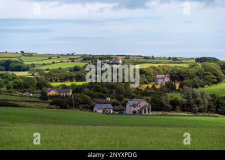 Un villaggio europeo tra campi verdi e alberi. Agriturismi in Irlanda. Pittoresco paesaggio agricolo. Campi verdi sotto un cielo blu, case su g Foto Stock