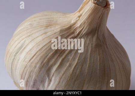 Aglio su sfondo bianco macro fotografia Foto Stock