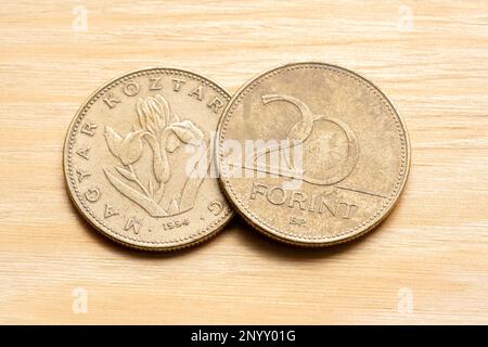 20 Forints Ungheresi Twenty Forint Coins, side and reverse, object macro, Extreme closeup, dettaglio, nessuno. Ungheria, valuta ungherese, finanze e Foto Stock