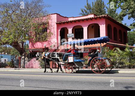 Una carrozza trainata da cavalli con turisti si snoda lungo la strada della città tropicale contro l'edificio rosa dell'architettura spagnola Foto Stock