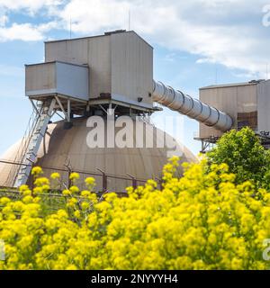 Terminale fertilizzante nel porto con fiori gialli davanti Foto Stock