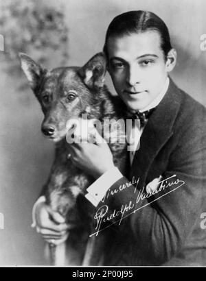 1921 ca, USA : l'attore cinematografico silenzioso RUDOLPH VALENTINO ( Rodolfo Guglielmi , 1895 - 1926 ) con il suo cane Sheik in occasione DEI QUATTRO CAVALIERI DELL'APOCALISSE ( i quattro cavalieri dell'Apocalisse ) di Rex Ingram , Dal romanticismo di Vincente Blasco Ibanez - CINEMA MUTO - RODOLFO - RUDY - attore cinematografico - LATINO LOVER - italoamericano - italo americano - italo-americano - emigrante - italo-americano - ritratto - ritrato - gioielli - gioielleria - gioielleria - gioielleria - gioielleria - gioielleria - gioielleria - gioielli - gioielleria - gioielli - camicia bianca - bianca camicia - persionalità celebrità fattori con anime animali domestici Foto Stock