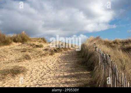 Sentiero che porta a Walberswick Beach a Suffolk, Inghilterra, Regno Unito Foto Stock