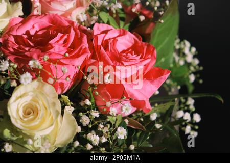 belle rose rosa e bianche con verde. Sfondo scuro con spazio di copia Foto Stock