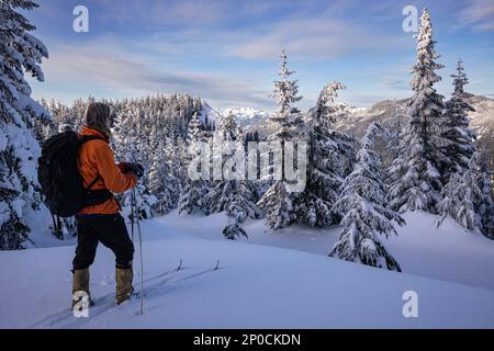 WA23201-00...WASHINGTON - sciatore vicino alla cima della montagna di Amabilis che domina la neve e gli alberi coperti di ghiaccio nella foresta di Natl di Okanogan-Wenatchee. Foto Stock